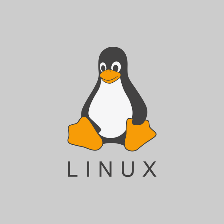 Linux for Networking