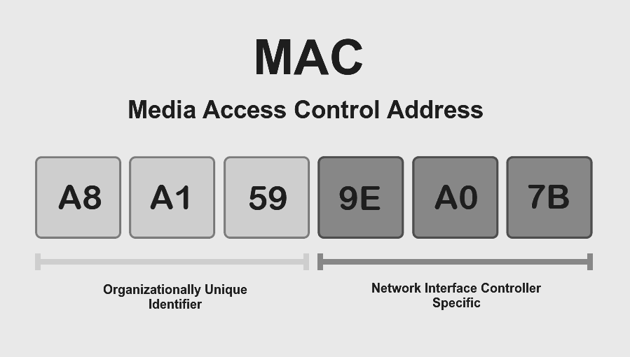 What is a MAC Address? Role in Network Communication